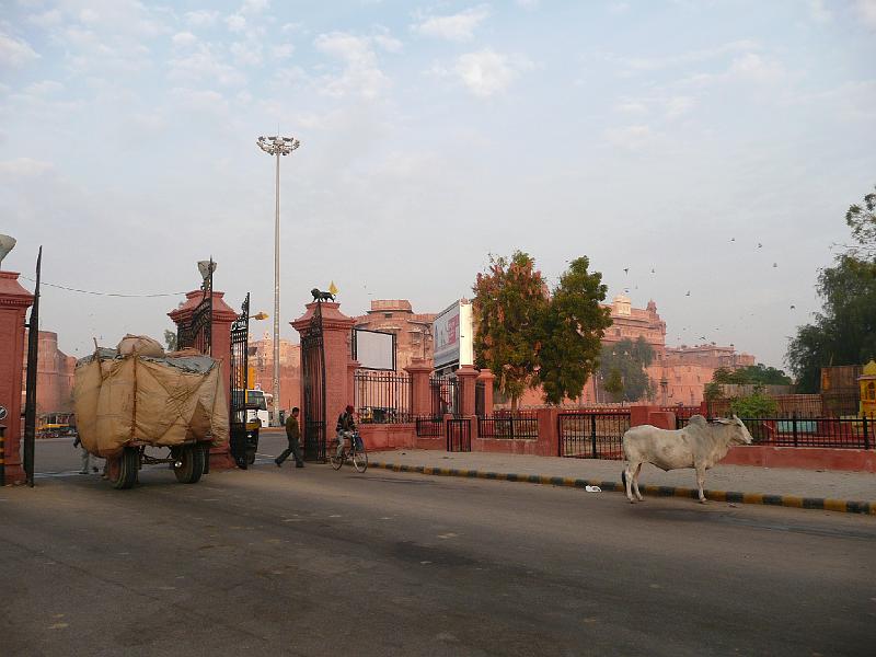 P1050809- Bikaner.JPG - Rue de Bikaner